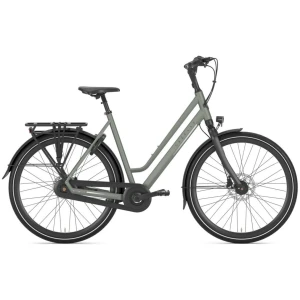 Gazelle Chamonix C8 Clay Green Mat Dames