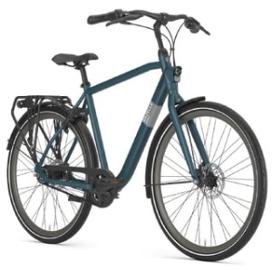 Gazelle Esprit Belt Pine Green Mat HEREN
