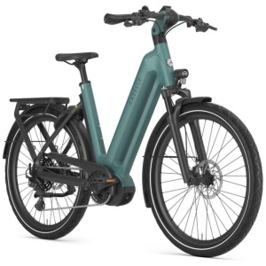 Gazelle Eclipse T11 Thyme Green Mat DAMES