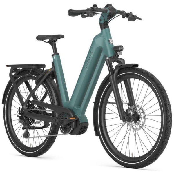Gazelle Eclipse T11 Thyme Green Mat DAMES