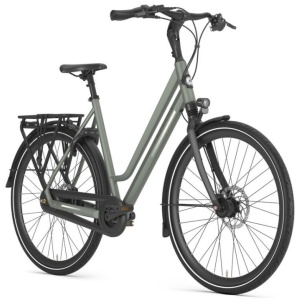 Gazelle Chamonix C8 Clay Green Mat Dames