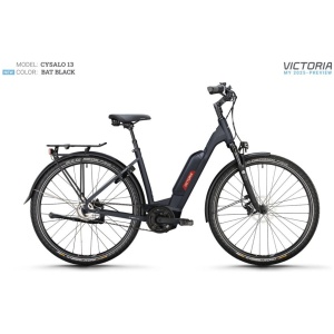 Victoria CYSALO 13 Bat Black