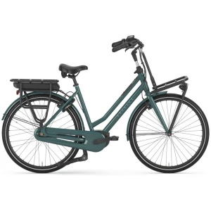 Gazelle HeavyDutyNL C7+ Thyme Green Glans Dames