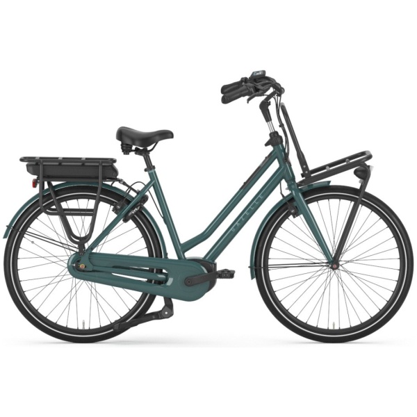 Gazelle HeavyDutyNL C7+ Thyme Green Glans Dames