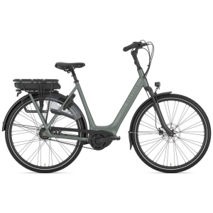 Gazelle Orange C8+ Twilight Green Mat DAMES
