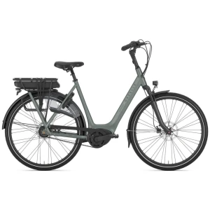 Gazelle Orange C8+ Twilight Green Mat DAMES