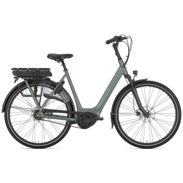 Gazelle Orange C8+ Twilight Green Mat DAMES