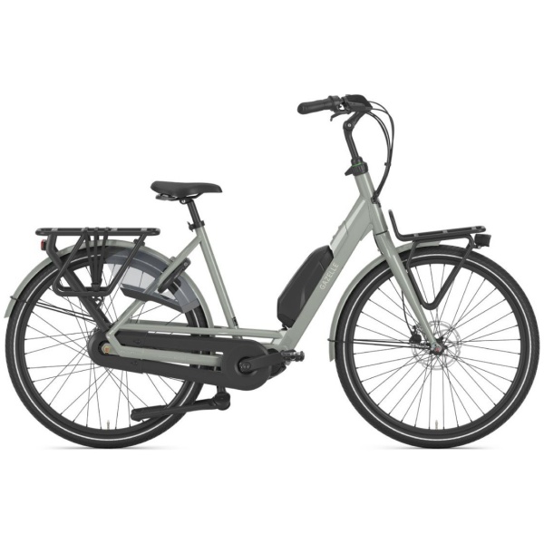 Gazelle Bloom C310 Clay Green Glans DAMES