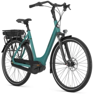 Gazelle Paris C7+ Thyme Green Mat Dames