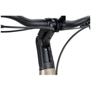 Batavus Finez E-Go Power Exclusiv Champagne Goud Glans Lageinstap