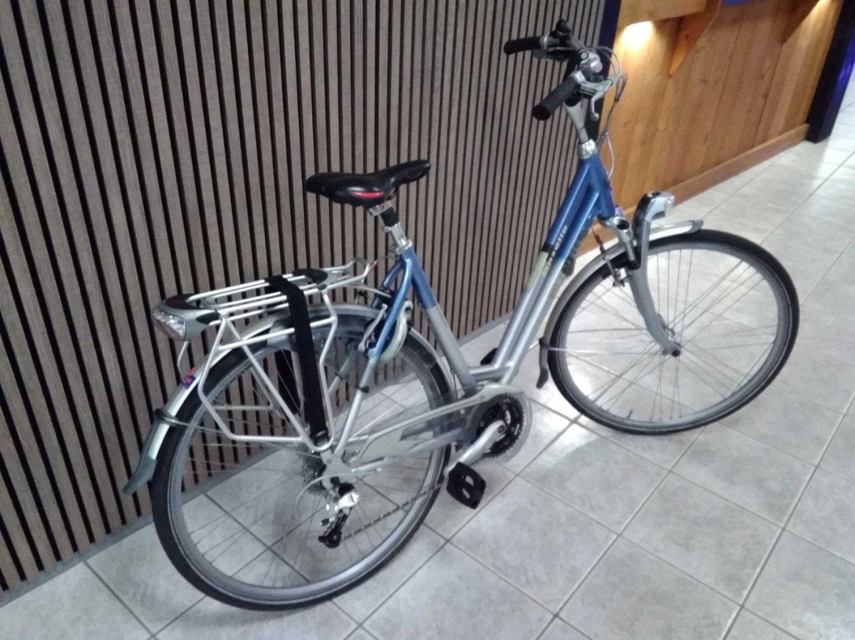 Gazelle Fuente Grijs Blauw Dames - Afbeelding 3