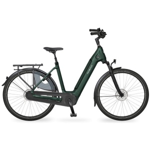 Velo De Ville AEB 890 PRO Emerald Green Mat Dames