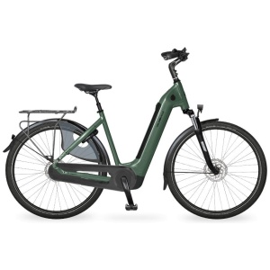 Velo De Ville AEB 890 PURE Eucalyptus Green Glans Dames