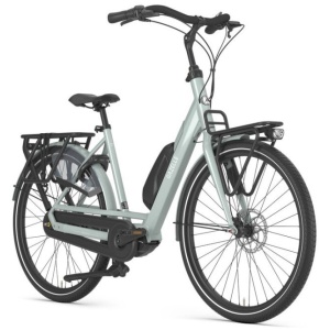 Gazelle Bloom C7 Light Olive Glans DAMES