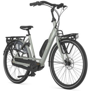 Gazelle Bloom C310 Clay Green Glans Dames