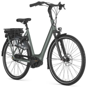 Gazelle Orange C8+ Twilight Green Mat DAMES