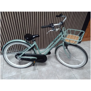 Alpina Fiets Mood M24 Groen Meisjes