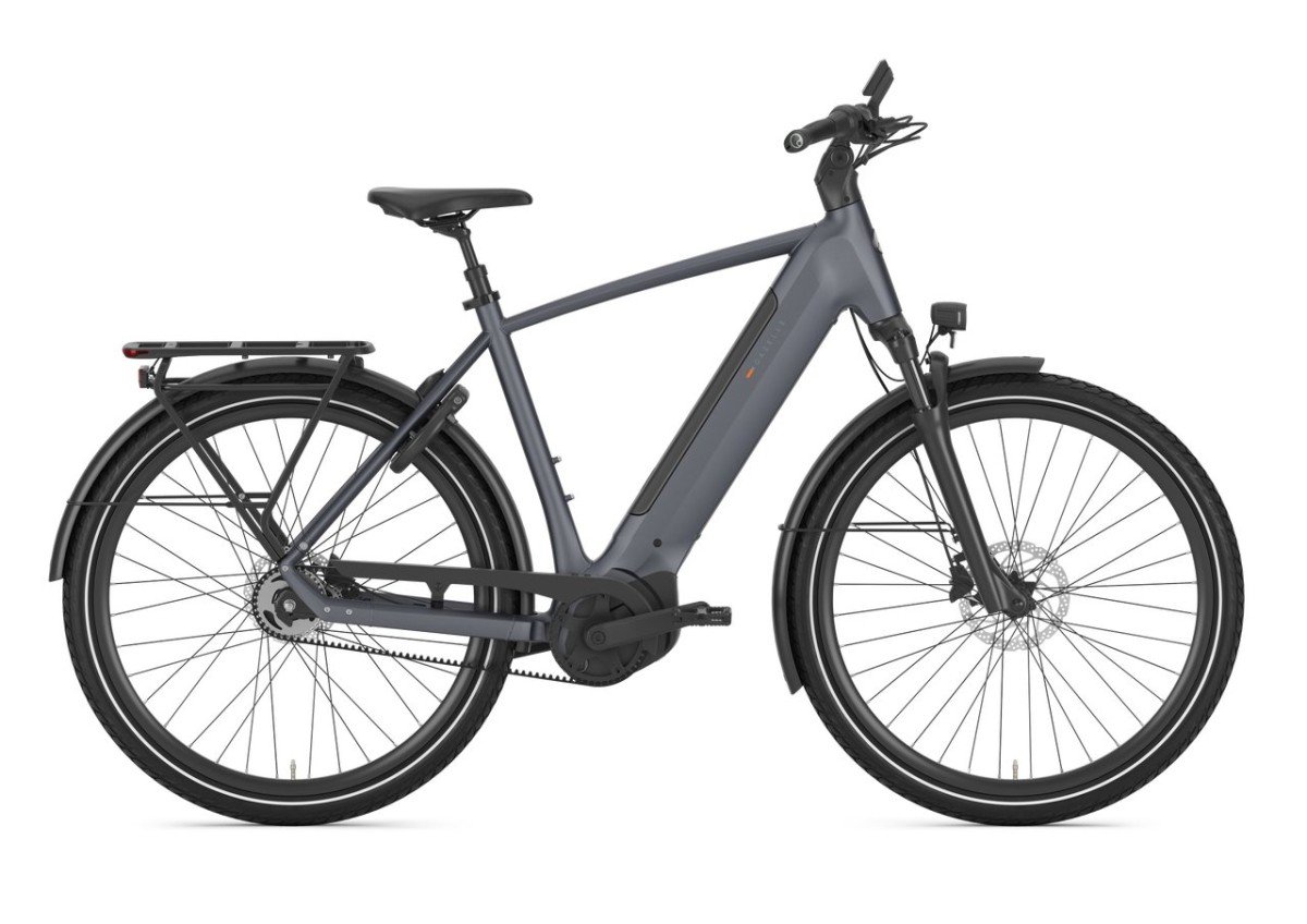 Gazelle Ultimate C5+ Meteor Grey Mat HEREN - Afbeelding 2
