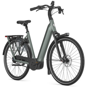 Gazelle Grenoble C5+ First Edition Twilight Green Mat DAMES