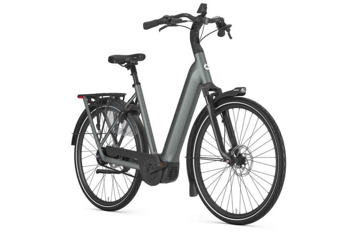 Gazelle Grenoble C5+ First Edition Twilight Green Mat DAMES