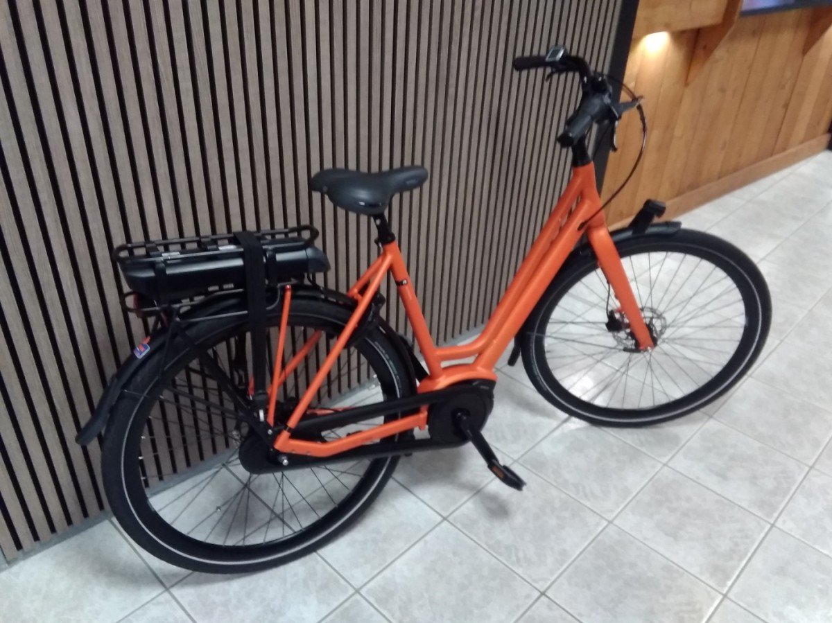 Batavus Dinsdag E-go Classic Orange Matt Lage instap - Afbeelding 2