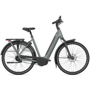 Gazelle Grenoble C5+ First Edition Twilight Green Mat DAMES