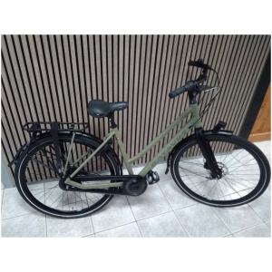 Batavus Dinsdag Groen Dames