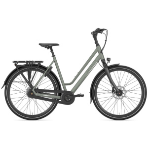 Gazelle Chamonix C8 Clay Green Mat Dames