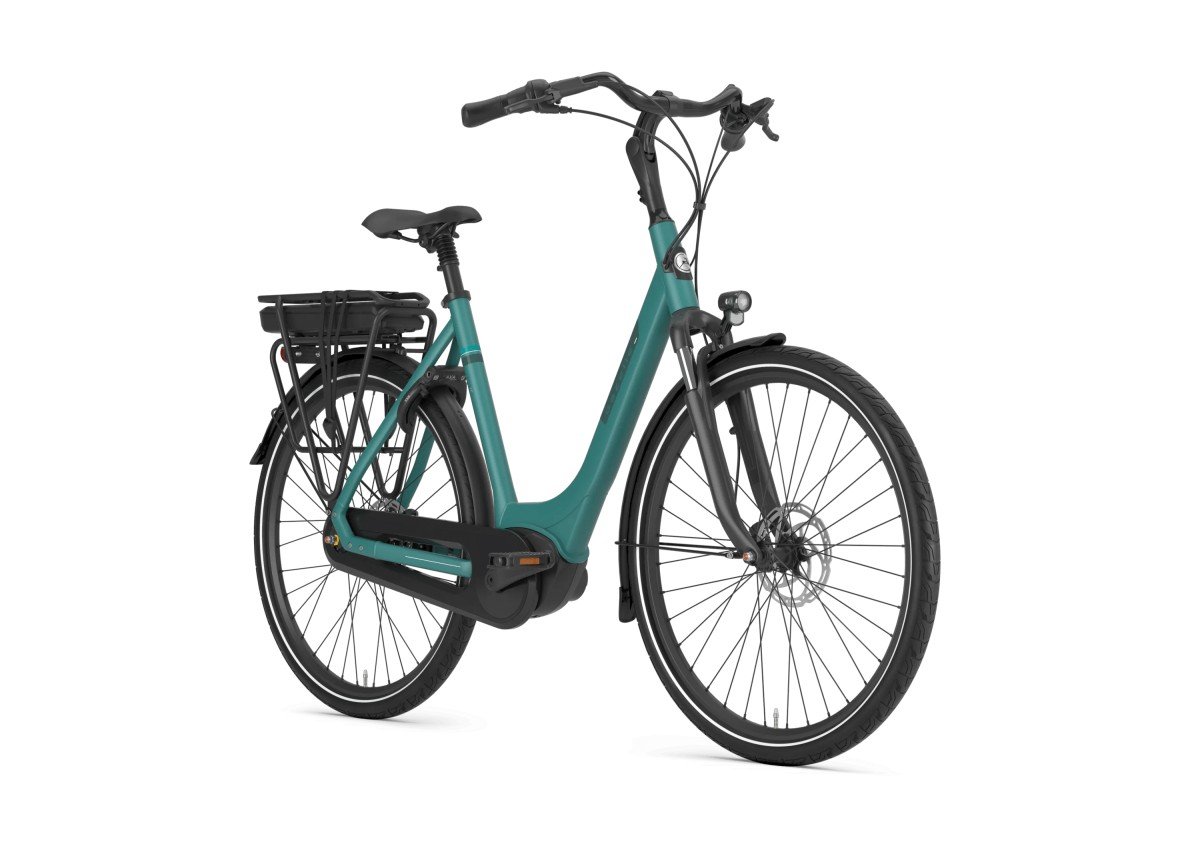 Gazelle Paris C7+ Thyme Green Mat Dames