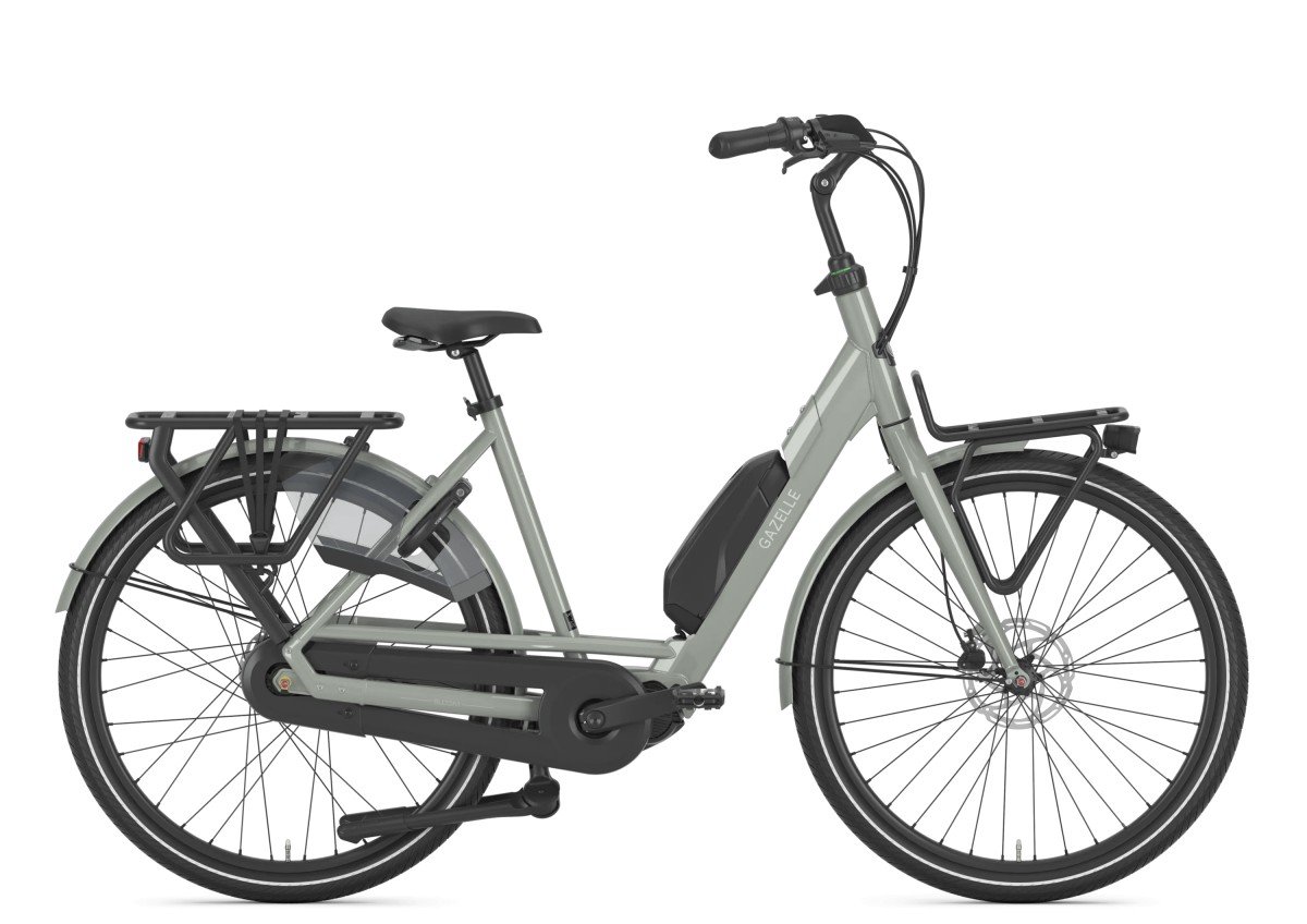 Gazelle Bloom C310 Clay Green Glans DAMES