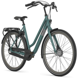 Gazelle Esprit Thyme Green Mat DAMES