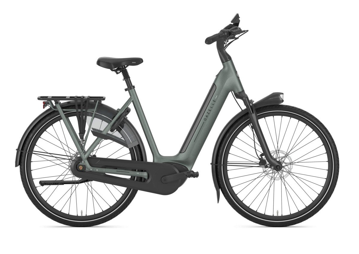 Gazelle Grenoble C8+ Twilight Green Mat DAMES