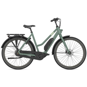 Gazelle Esprit C7 Moss Green Mat DAMES