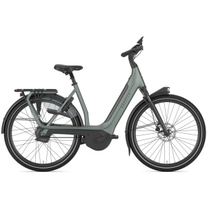 Gazelle Avignon C380+ Twilight Green Mat DAMES