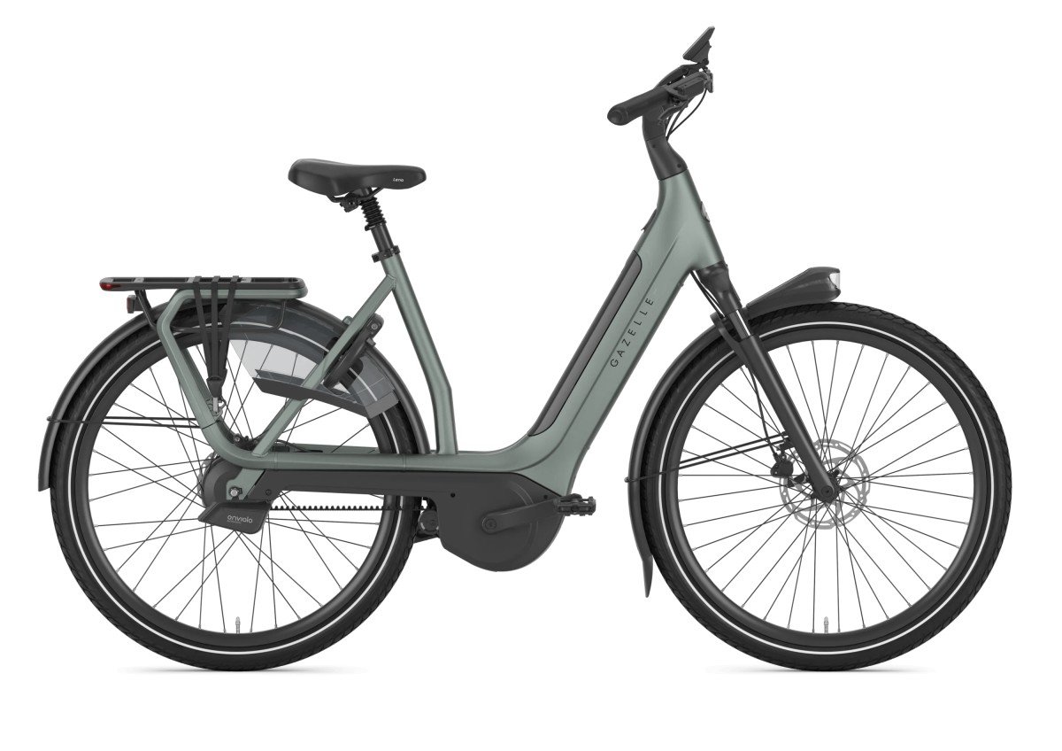 Gazelle Avignon C380+ Twilight Green Mat DAMES