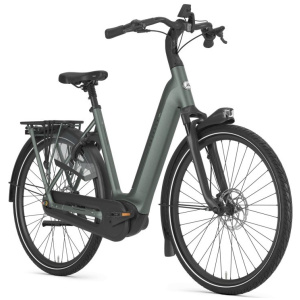 Gazelle Grenoble C8+ Twilight Green Mat DAMES