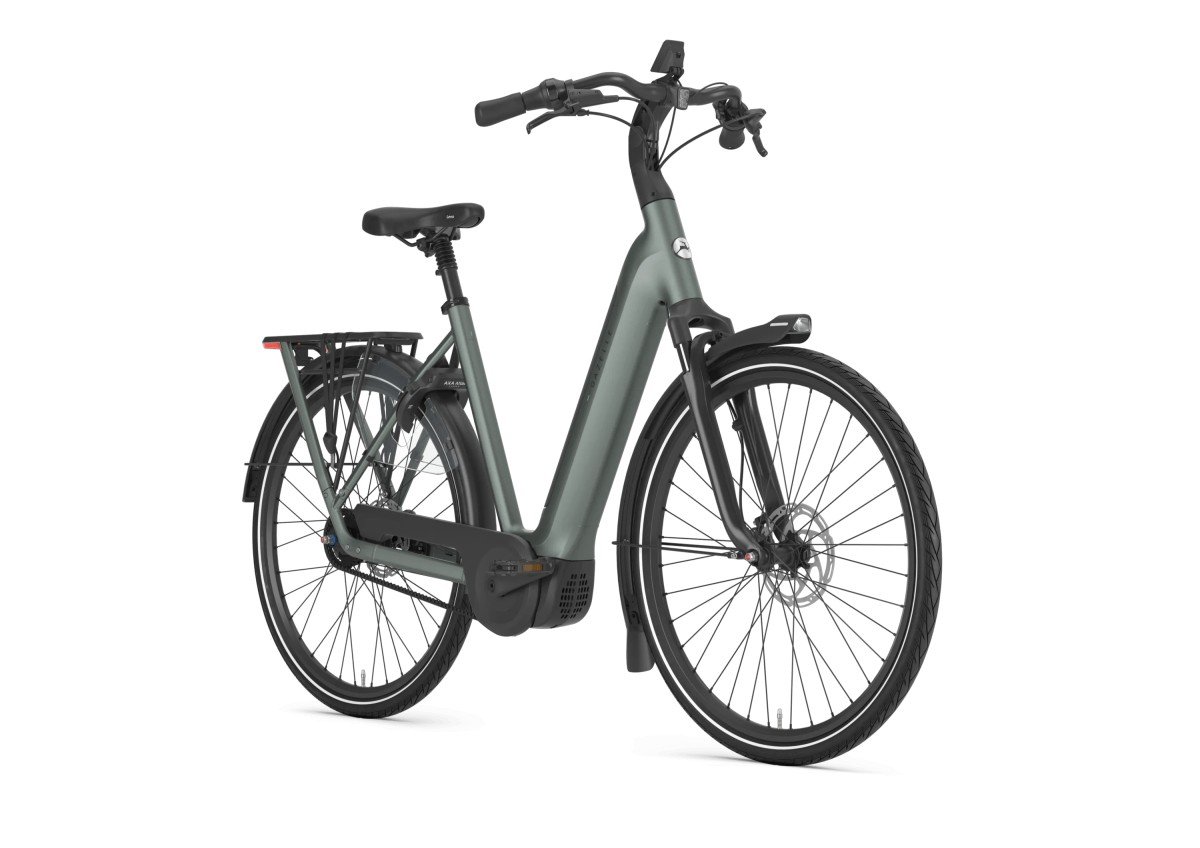 Gazelle Grenoble C5+ First Edition Twilight Green Mat DAMES - Afbeelding 2