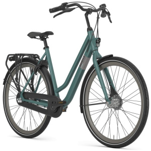 Gazelle Esprit Thyme Green Mat DAMES