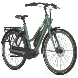 Gazelle Esprit C7 Moss Green Mat Dames