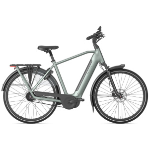 Gazelle Grenoble C5+ First Edition Twilight Green Mat HEREN