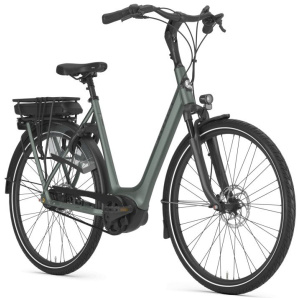 Gazelle Orange C8+ Twilight Green Mat DAMES