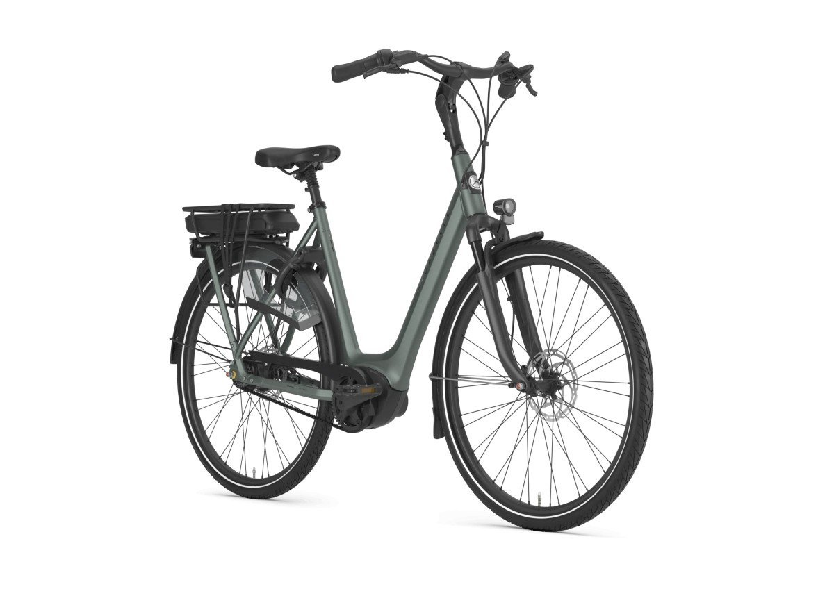 Gazelle Orange C8+ Twilight Green Mat DAMES