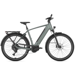 Gazelle Ultimate T11 Twilight Green Mat Heren