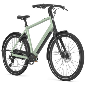 Gazelle Curb T9 Pistache Green Glans HEREN