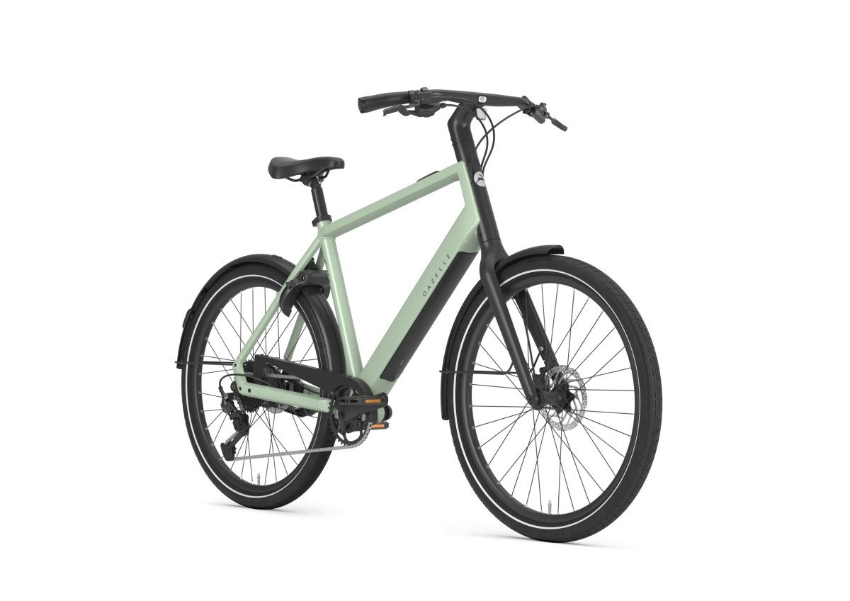 Gazelle Curb T9 Pistache Green Glans HEREN
